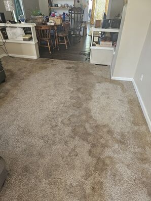 Before & After Carpet Cleaning in Sioux Falls, SD (1)