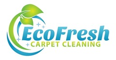 Eco Fresh Carpet Cleaning