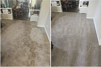 Carpet Cleaning in Brandon